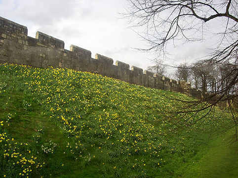 Hätten wir in Englisch damals nur besser aufgepasst